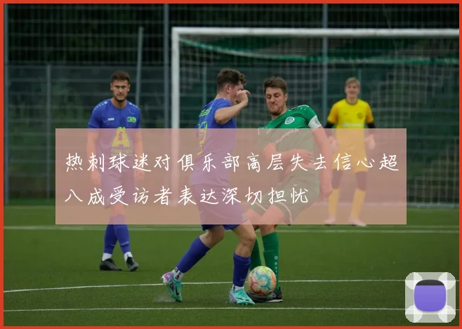 热刺球迷对俱乐部高层失去信心超八成受访者表达深切担忧
