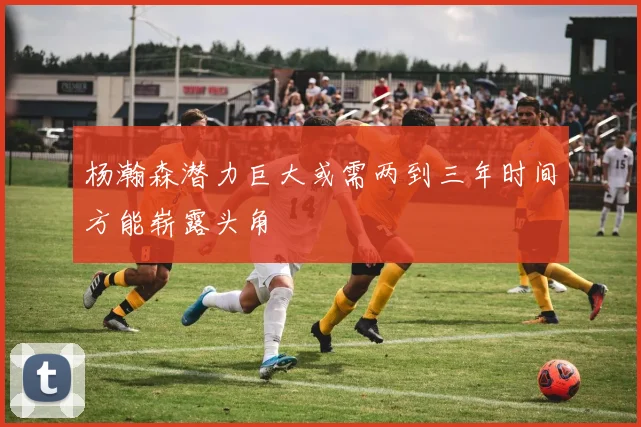 杨瀚森潜力巨大或需两到三年时间方能崭露头角